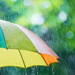 梅雨の豪雨 線状降水帯